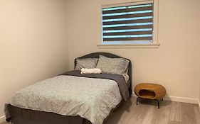Separate Entrance One Bed Room Studio!